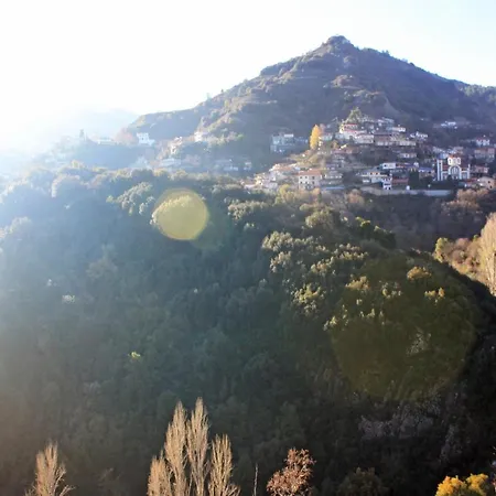 Laoni In Moutoullas, Marathasa Limassol