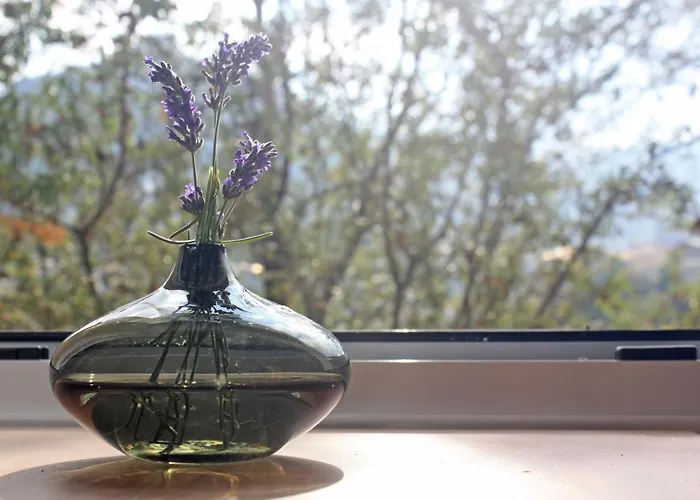 Laoni In Moutoullas, Marathasa Ferienhaus